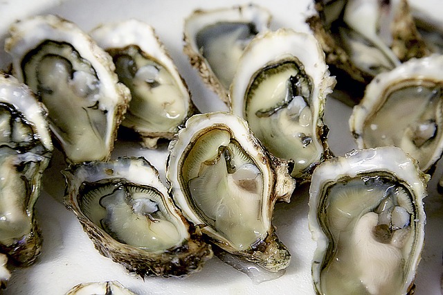 Gather With Friends This Winter at Union District Oyster Bar & Lounge