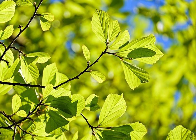 Explore the Outdoors at Rock Creek Park Nature Center