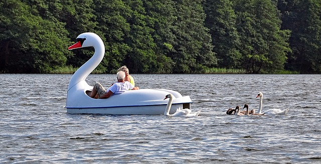 See DC From the Water With Tidal Basin Paddle Boats