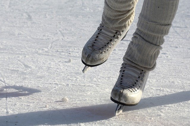 Meet Some Friends From The Residences at Eastern Market at National Gallery of Art’s Ice-Skating Rink