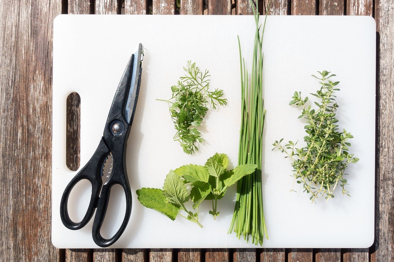 How to Start a Spring Herb Garden at The Residences at Eastern Market